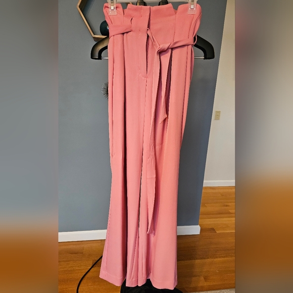 EXPRESS- WIDE LEGGED - PAPERBAG STYLE PANT- LIGHT PINK 4R - Picture 1 of 4